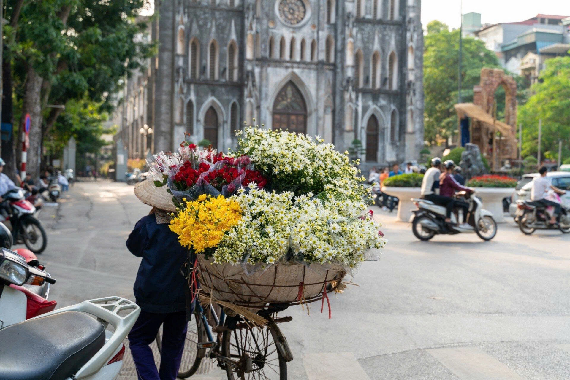Natural Trails Of The Northen Vietnam
