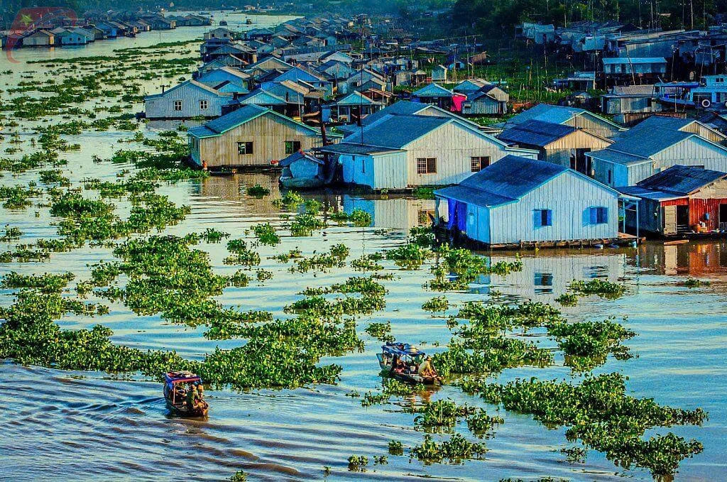 Mystery Of South Of Vietnam