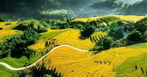 Vietnam Highlights