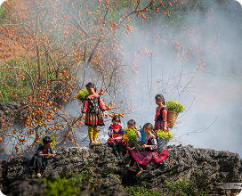 Vietnam Vacation